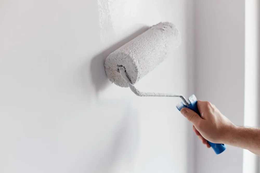 rouleau de peinture